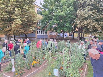 Tomatentag 2025