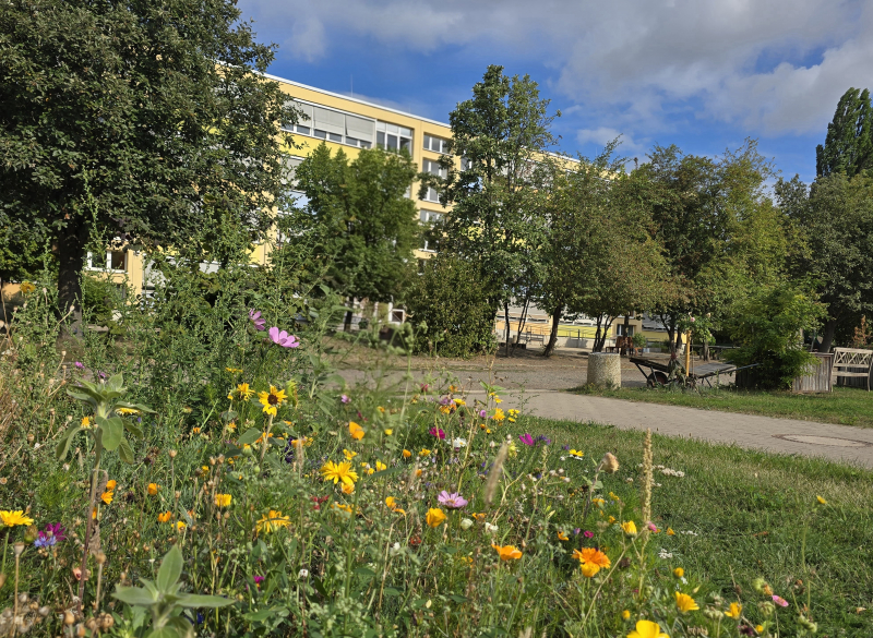 20260901_100759(1).jpg
