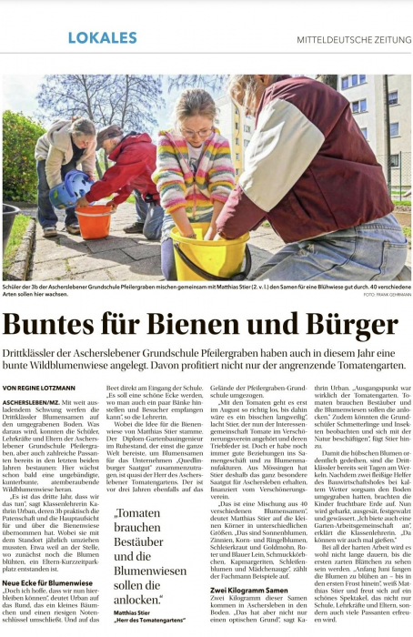 mz_bluehwiese_vom_05052026.jpg